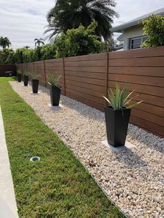 some very pretty plants by the side of a fenced in area with rocks and grass