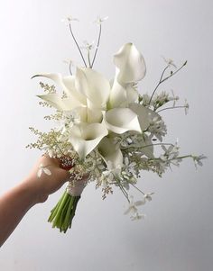 a hand holding a bouquet of white flowers