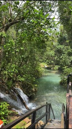 a river running through a forest filled with lots of green trees and water flowing down it's sides