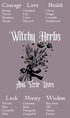 Witchy Herbs, Eclectic Witchcraft, Witchcraft Herbs, Herbs And Plants, Magickal Herbs, Witch Herbs