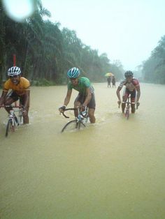 three bicyclists are riding through the water on a road in the rain