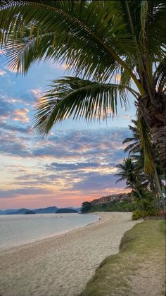 the beach is lined with palm trees as the sun sets