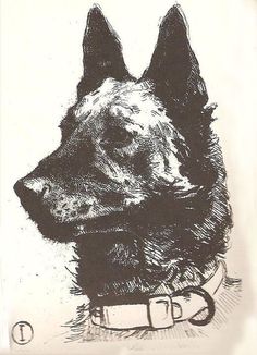 a drawing of a dog wearing a collar