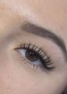 Wispy Eyelashes, Eyelash Extensions Styles, Kanekalon Hairstyles