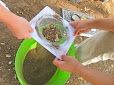 Earth/Space Science. Rocks are everywhere. Children go outside to explore dirt and collect rocks. They dig and scoop dirt with plastic scoops, and shift it using sifters. They can see that soil is made up of tiny, little rocks.  The Guidelines for Preschool Learning Experiences: Earth and Space Sciences 5. Compare and contrast natural materials such as water, rocks, soil, and living organisms using descriptive language. Kindergarten Experiments, Soil Activities, Rock Unit, Polished Rocks, Outdoor Learning Activities, Kindergarten Classrooms, Kindergarten Rocks, 1st Grade Science, First Grade Science