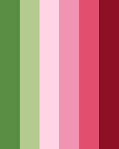 the color palette is red, green and pink