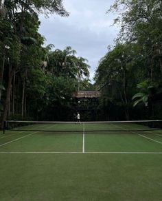 a tennis court surrounded by trees and grass