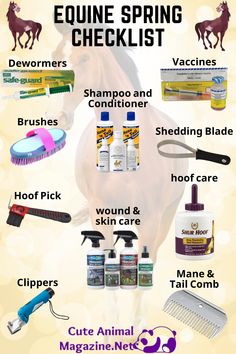 the horse grooming guide is shown in this graphic style, with instructions for how to use