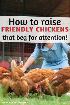 tame chickens and kid Chicken Genetics, Friendly Chickens, Homesteading Books, Chicken Coop Building Plans, Happy Chickens, Chicken Tips, Chicken Coop Garden, Raising Farm Animals, Chicken Owner