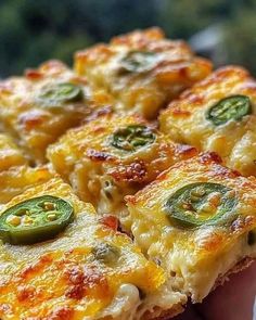 a person holding up a slice of pizza with cheese and jalapenos on it