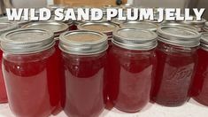 several jars filled with liquid sitting on top of a white table next to a sign that says wild sand plum jelly