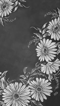 black and white drawing of daisies on a chalkboard background with space for text