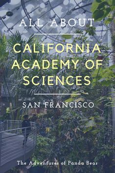 the cover of all about california academy of science, featuring an image of trees and plants