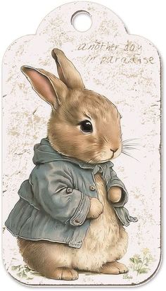 a white tag with a brown rabbit wearing a blue jacket