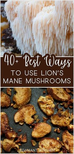 the words 40 best ways to use long's mane mushrooms