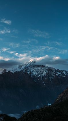 Mountain-jungle wallpaper Black Roses Wallpaper, M Wallpaper, Simple Phone Wallpapers, Abstract Iphone Wallpaper, Beauty Products Photography, Forest Photography, Beautiful Mountains, Beautiful Nature Scenes