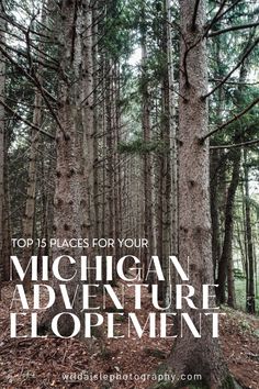 the woods with text that reads top 15 places for your michigan outdoor development