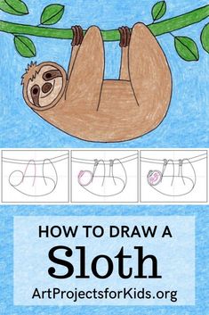 how to draw a sloth on a tree branch with instructions for drawing the sloth