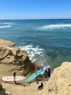 three surfers and a dog on the beach with their surfboards near the water