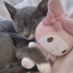 a gray cat sleeping next to a pink stuffed animal