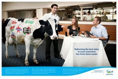 a man standing next to a cow at a table