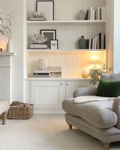 a living room filled with furniture and bookshelves next to a fire hydrant