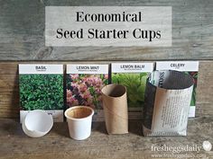 an assortment of seed starter cups sitting on a table with the words, economic seed starter cups