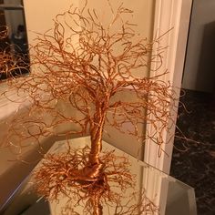 a tree that is sitting on top of a glass table