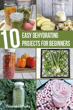 10 easy diy dehydrating projects for beginners