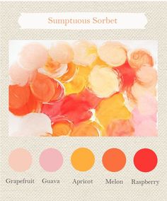 an image of some different colors in the same color scheme, including oranges and pinks