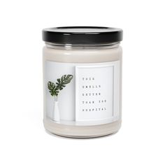 a candle with a plant in it on a white background that says, this smells better than the morning