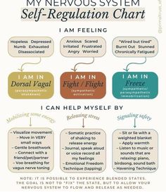 How To Regain Strength After Being Sick, Autonomic Nervous System, Emotional Awareness, The Nervous System