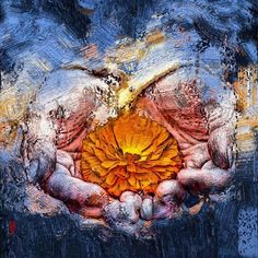 two hands are holding an orange flower in the middle of their palms, with water splashing all over them