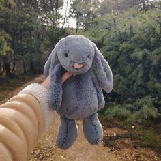 a person holding up a gray stuffed animal in front of some trees and dirt road