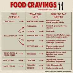 Food Cravings - Most of us experience food cravings - strong desires for certain types of foods beyond normal hunger. Motivasi Diet, Healthy Holistic Living, Resep Diet, Food Groups, Makanan Diet, Recipes Dessert, Holistic Living, Unhealthy Food, What To Eat