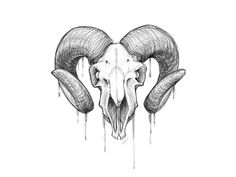 the ram skull is dripping down from it's horns