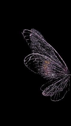 a butterfly flying through the air at night