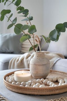 a plant in a vase sitting on a tray with rocks and a candle next to it