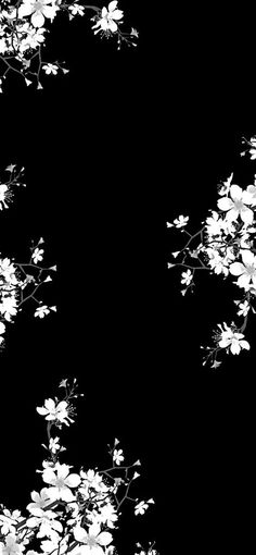 black and white photograph of flowers against a dark background