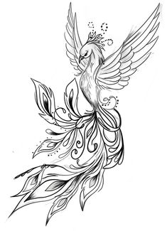 a black and white drawing of a bird with wings