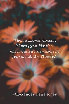 flowers with the quote when a flower doesn't bloom, you fix the environment in which it grows, not the flower