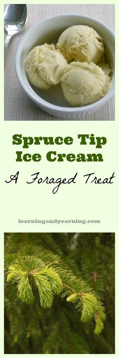 two pictures with text that says spruce tip ice cream and a bowl of frozen treat