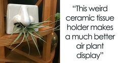 an air plant is sitting on top of a wooden chair with a quote about it