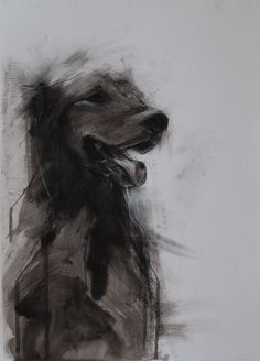 a black and white drawing of a dog