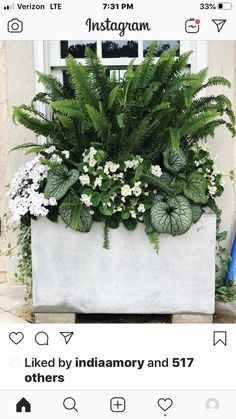 a white planter filled with lots of green plants