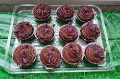 twelve cupcakes with chocolate frosting and purple bows on them sitting in a plastic tray