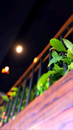 green plants growing on the side of a wooden railing