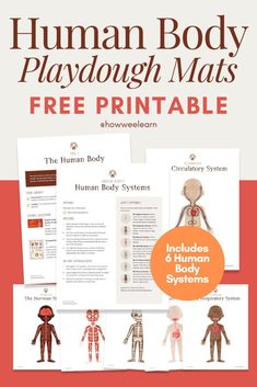 the human body playdough mats printable is shown with instructions for children to use