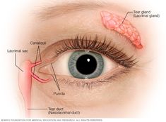 Dry Eye Remedies, Blocked Tear Duct, Eye Health Remedies, Dry Eye Symptoms, Parts Of The Eye, Warm Compress, Dry Eye, Watery Eyes