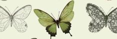 four different types of butterflies are shown in this image, one is green and the other is pink